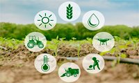 Comprehensive agricultural services