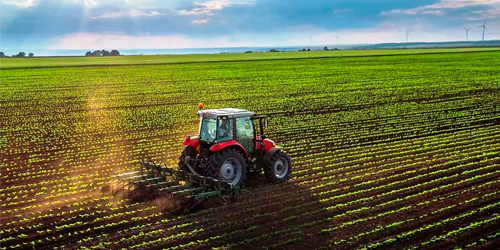 Sutton Farms - Modern Agricultural Operations